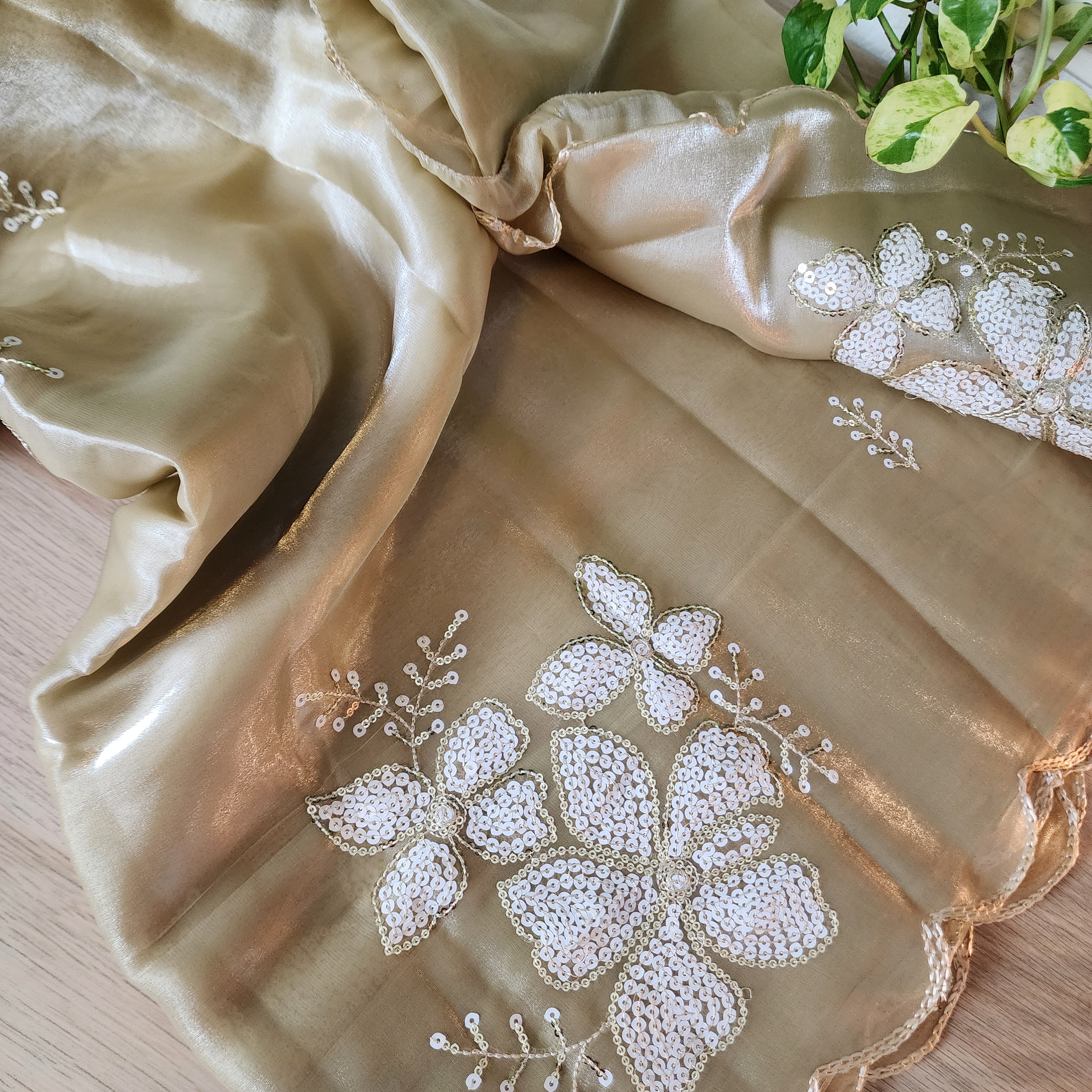 Beige Designer Organza Saree