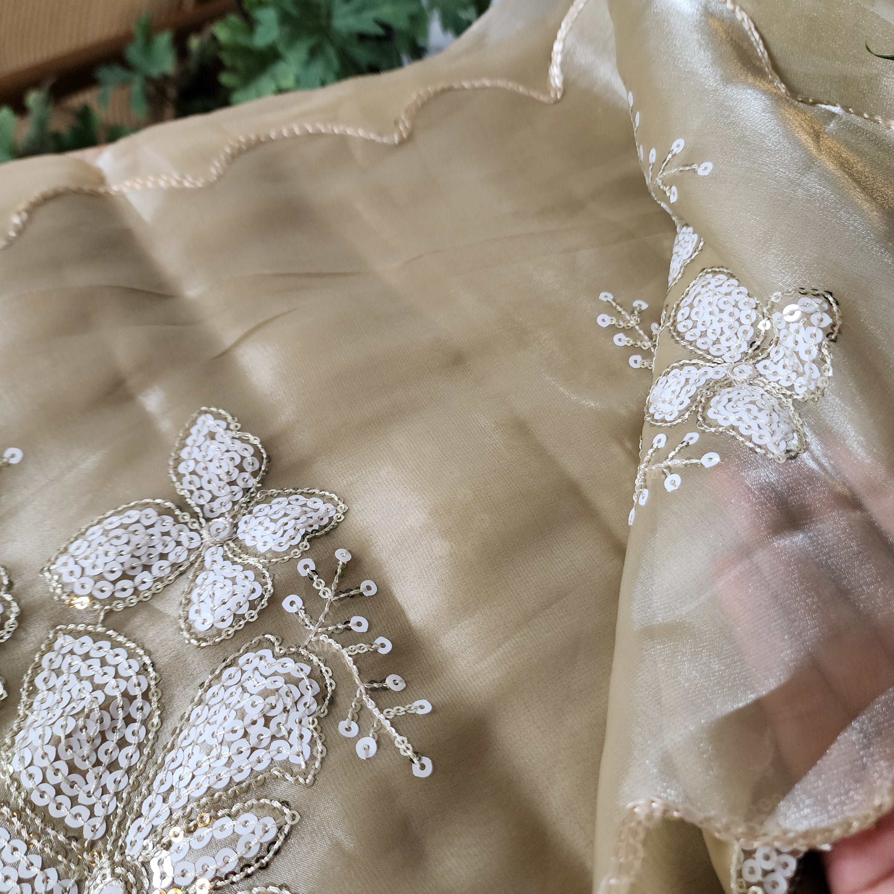 Beige Designer Organza Saree