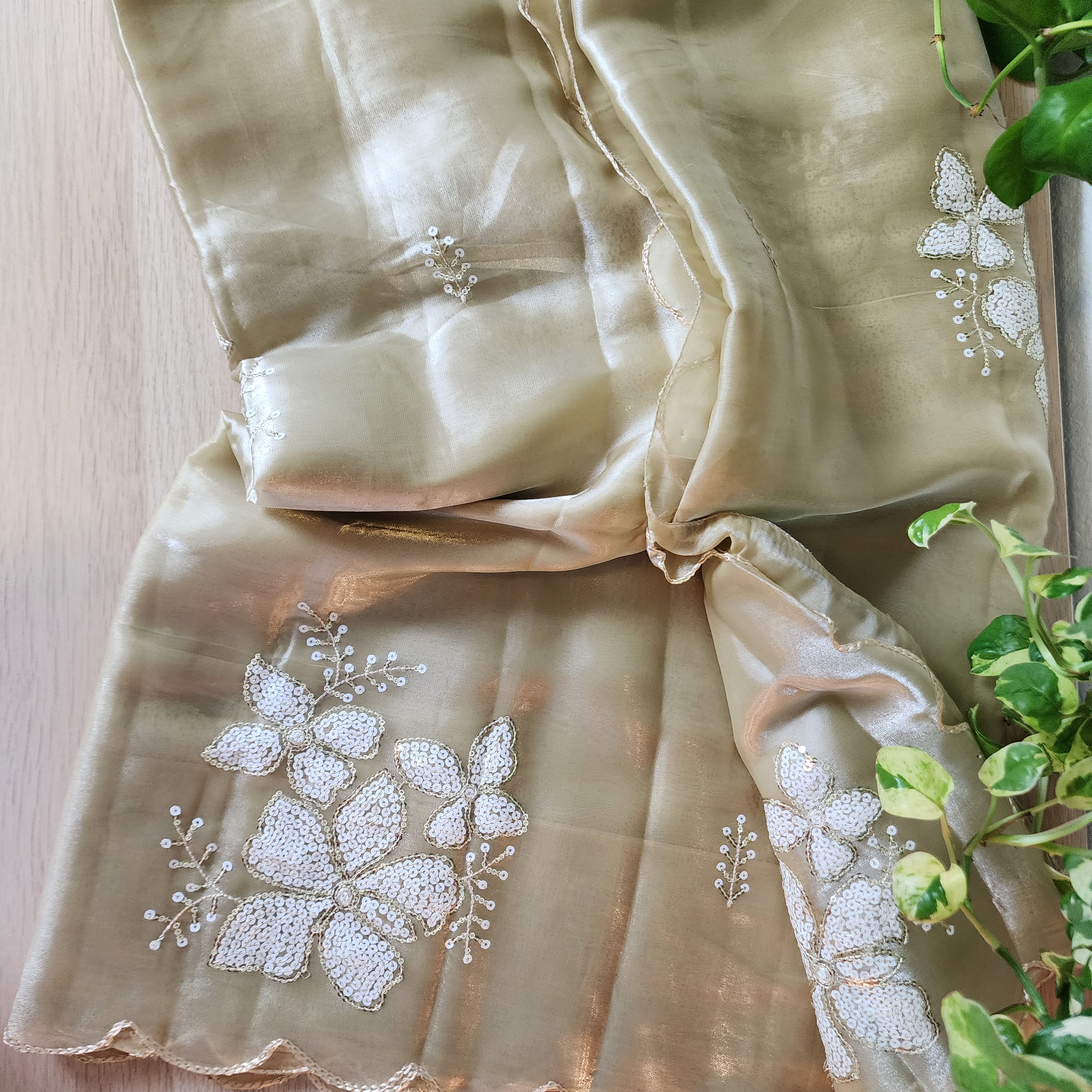 Beige Designer Organza Saree