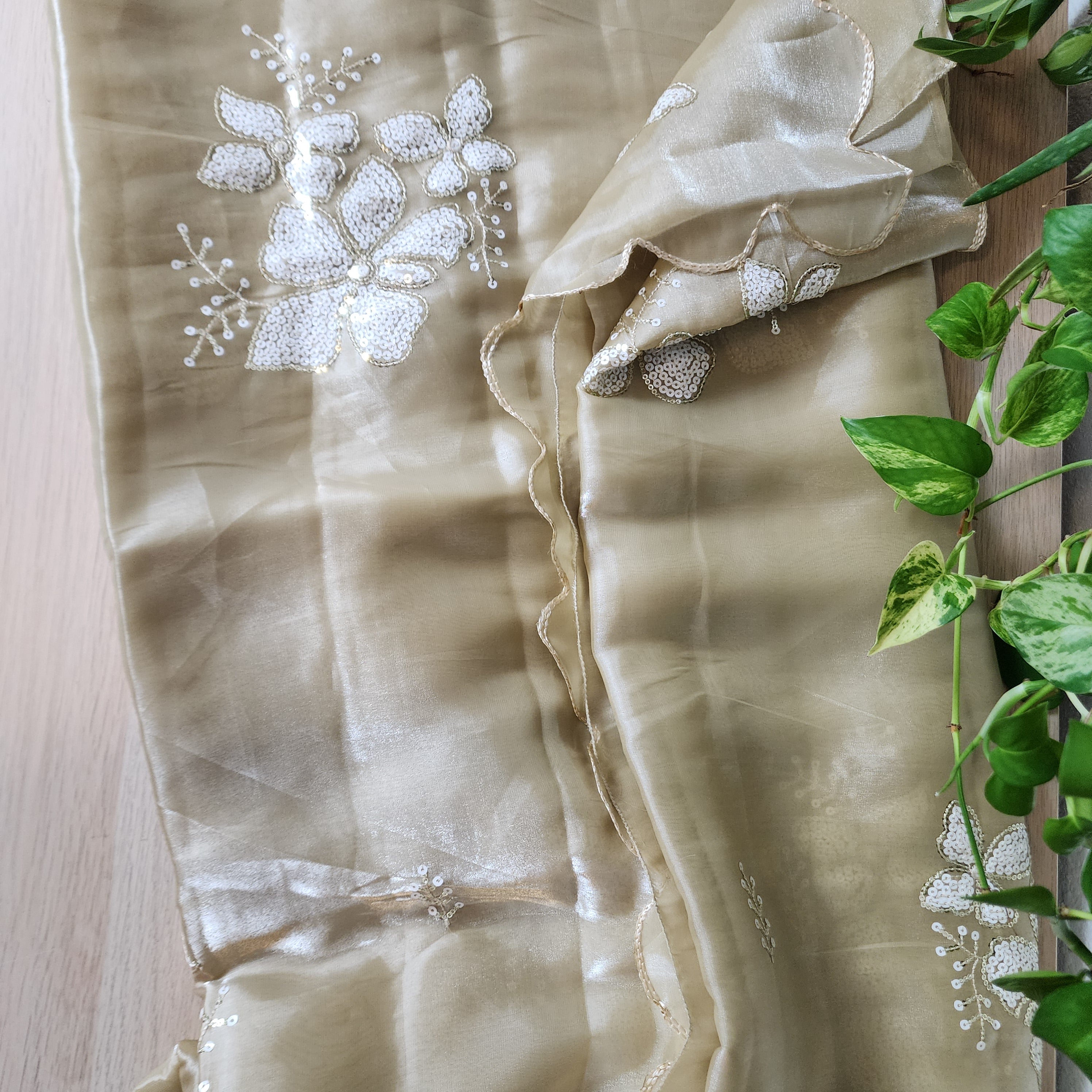 Beige Designer Organza Saree
