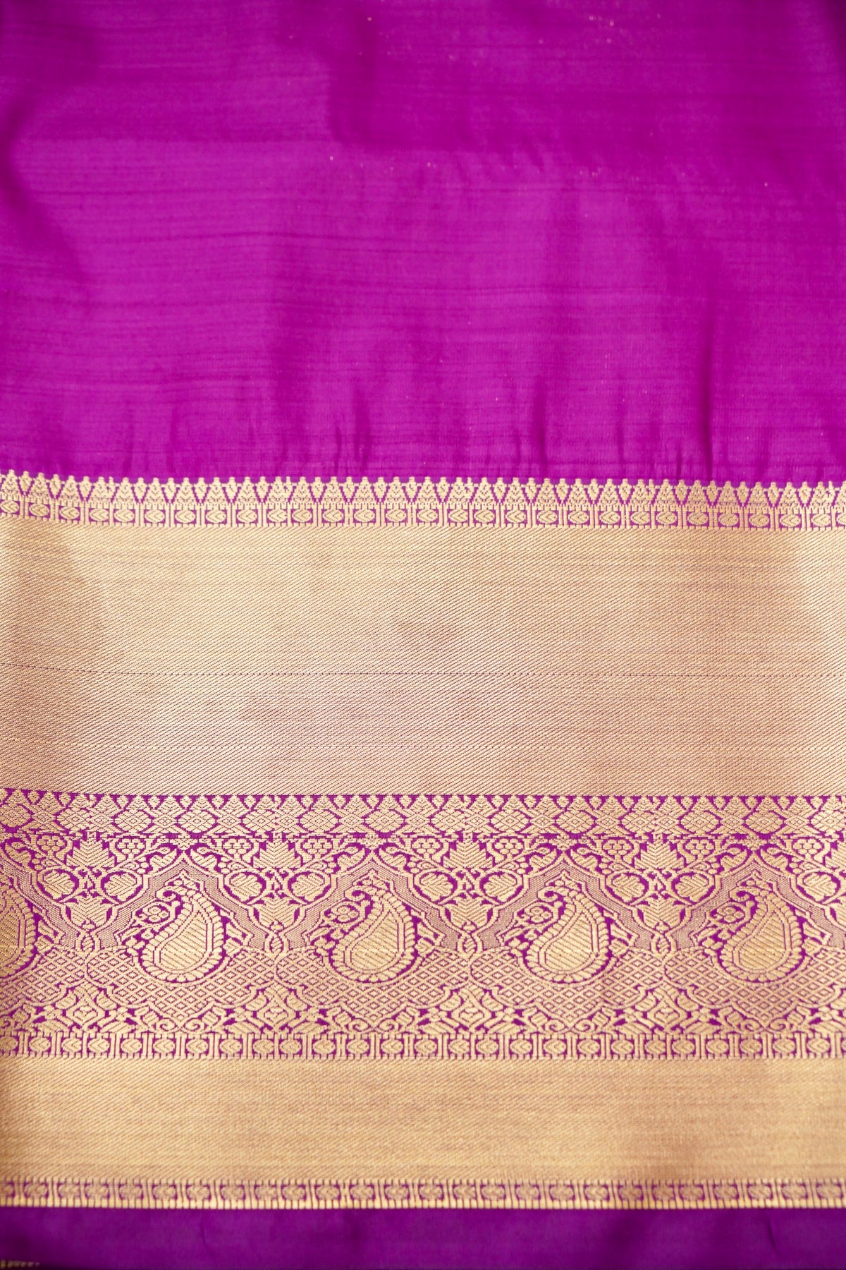 Devyani - Champagne Kanchi Pattu Silk Saree with Purple Border
