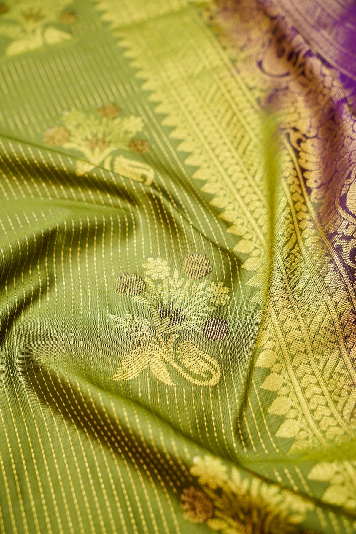 Devyani - Olive Green Kanjivaram Silk Saree with Purple Korvai Border