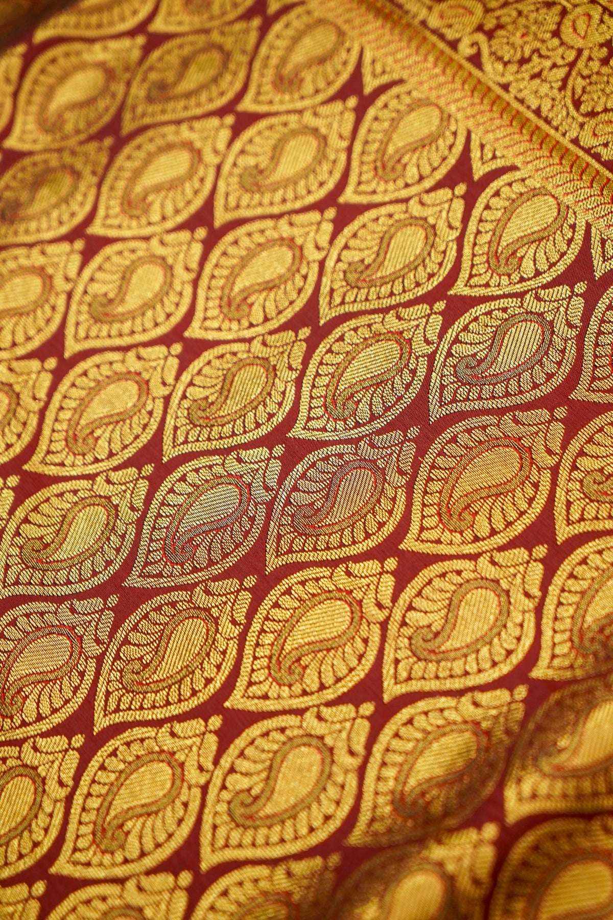 Devyani - Ruby Red Kanjivaram Silk Saree with Maroon Korvai Border