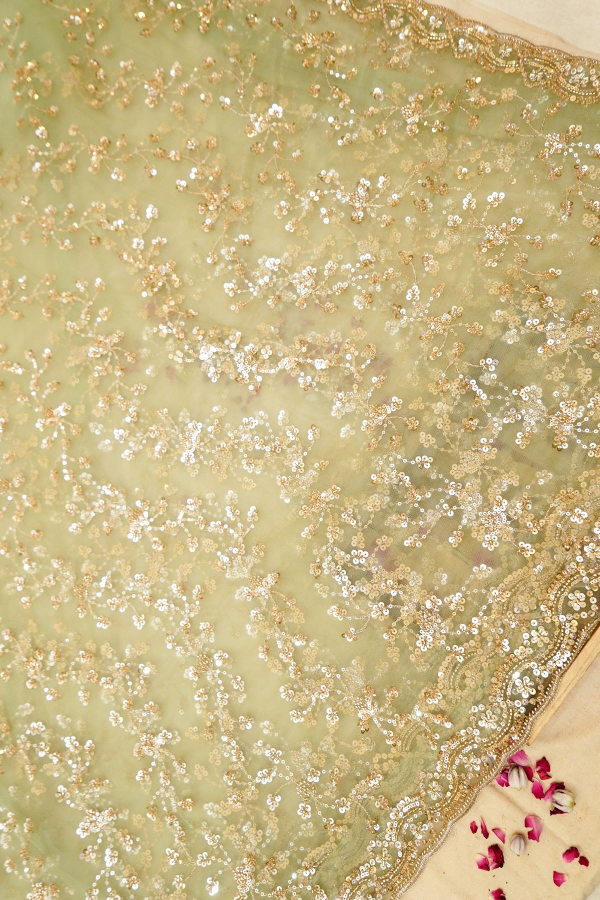 Pistachio Bloom Sequined Floral Vine Designer Net Saree