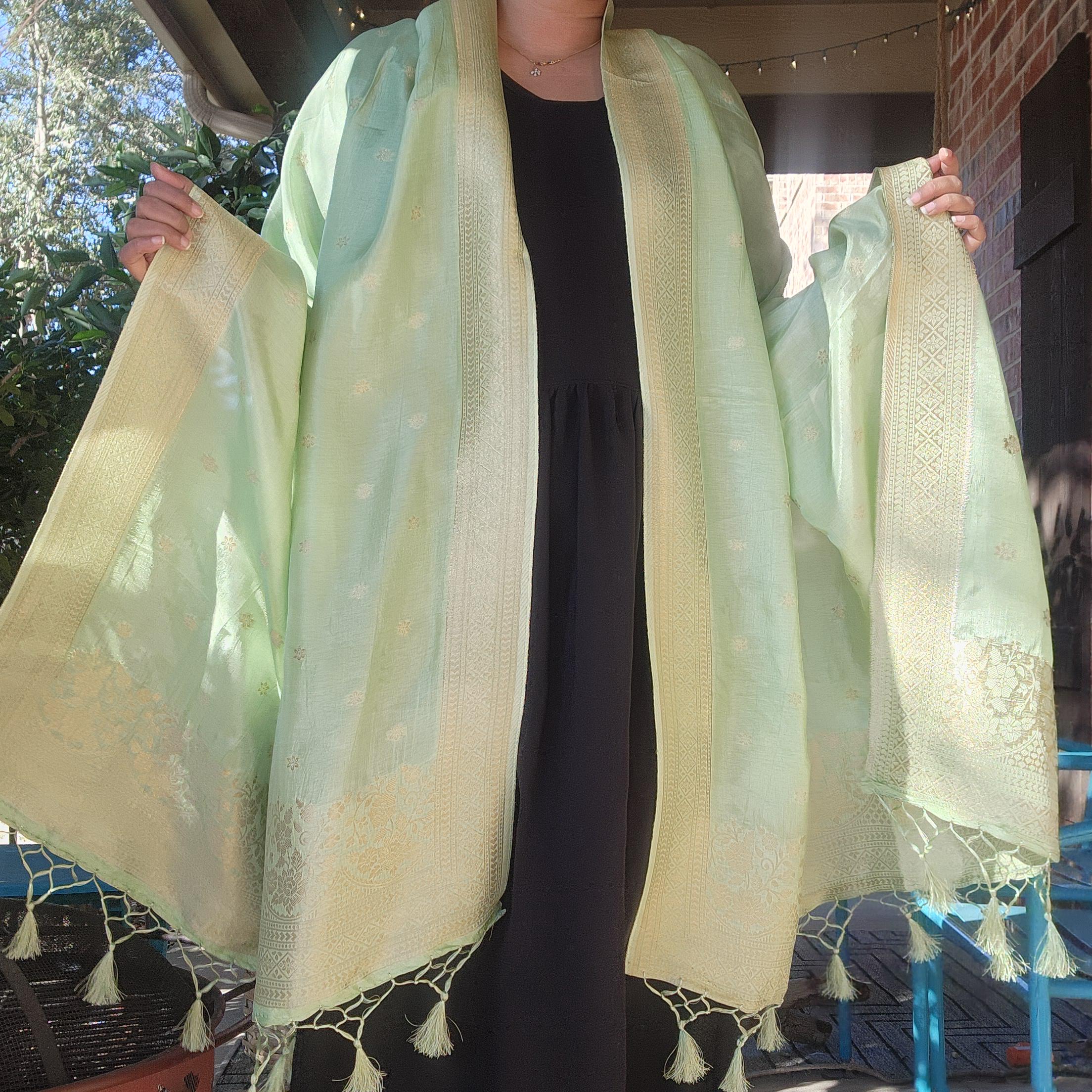Banarasi Light Green Dola Silk with Golden Zari border & Floral motifs