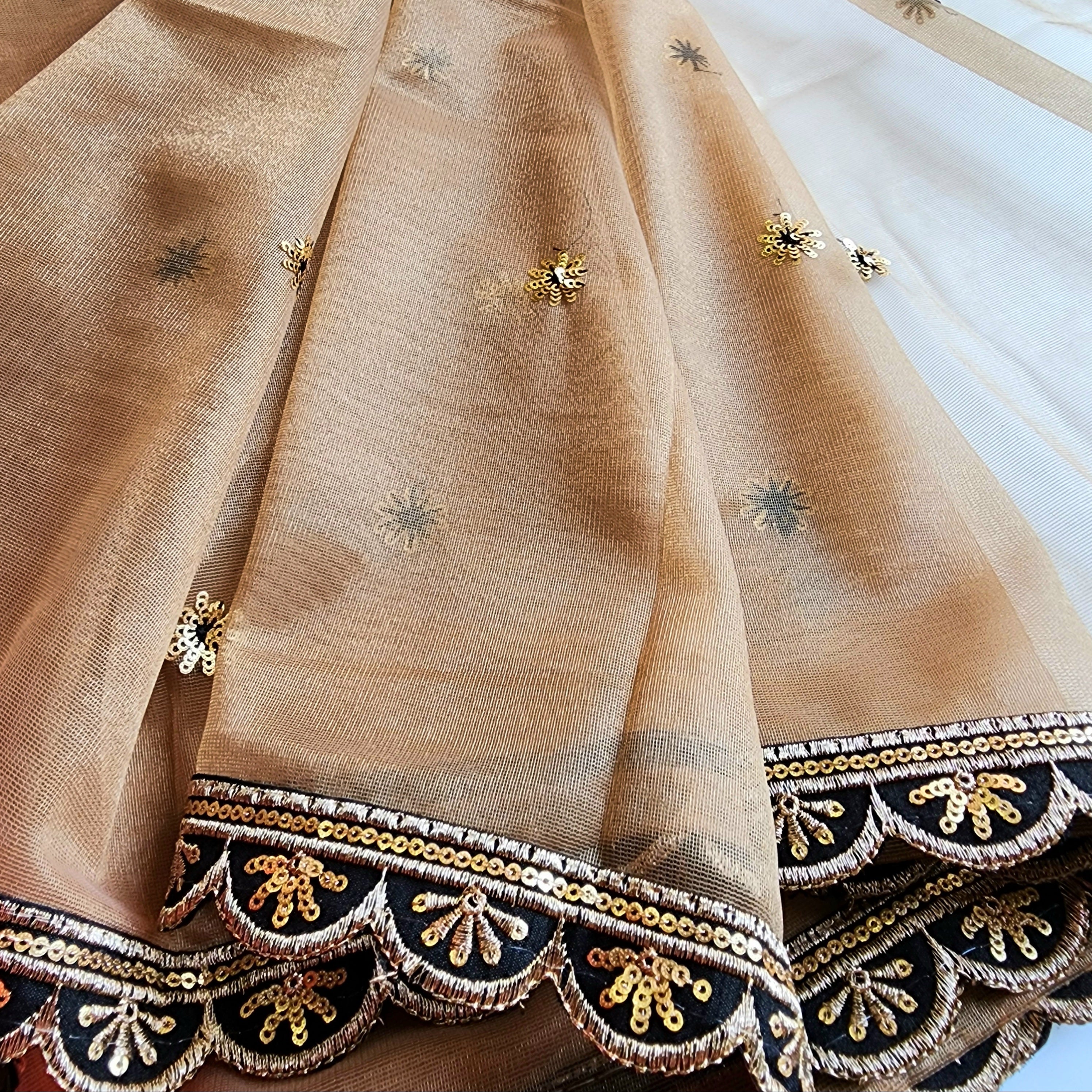Beige Designer Net Saree with Heavy Embroidery Cut Work Border