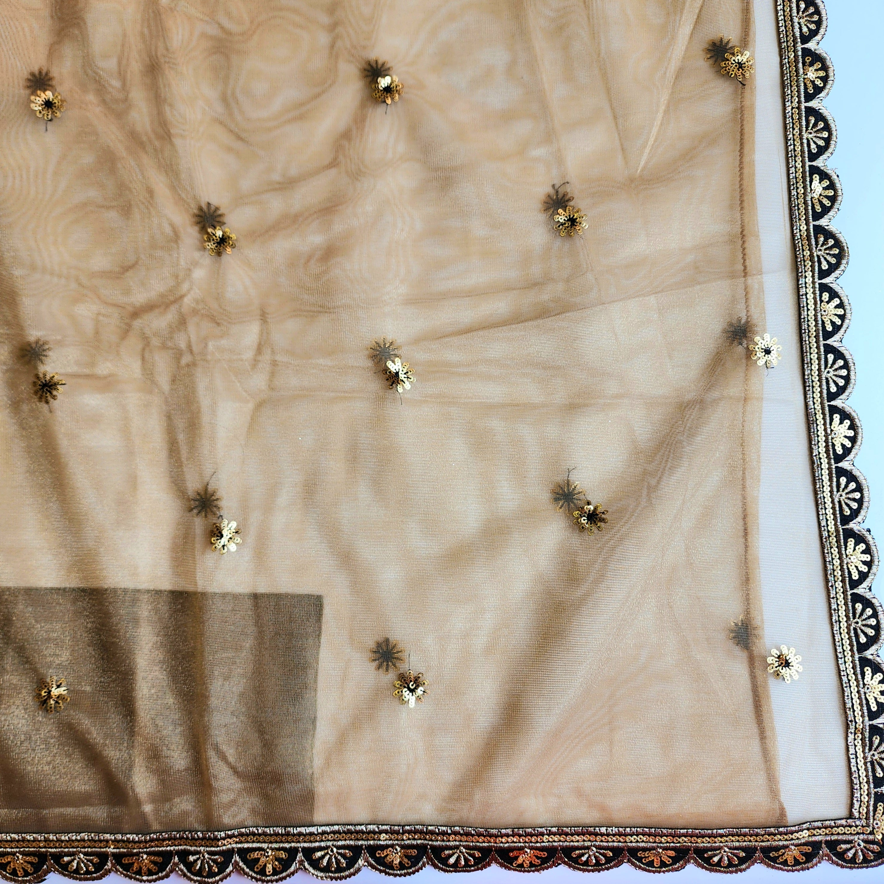 Beige Designer Net Saree with Heavy Embroidery Cut Work Border