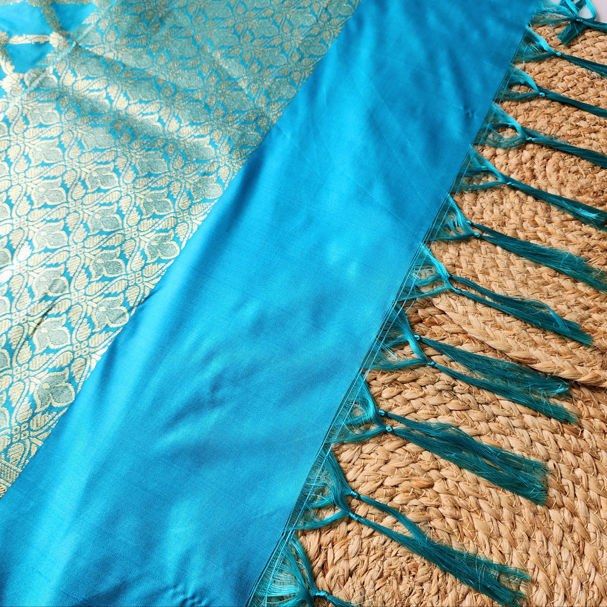Banarasi Tapetta Silk - Turquoise Zari Jaal Dupatta
