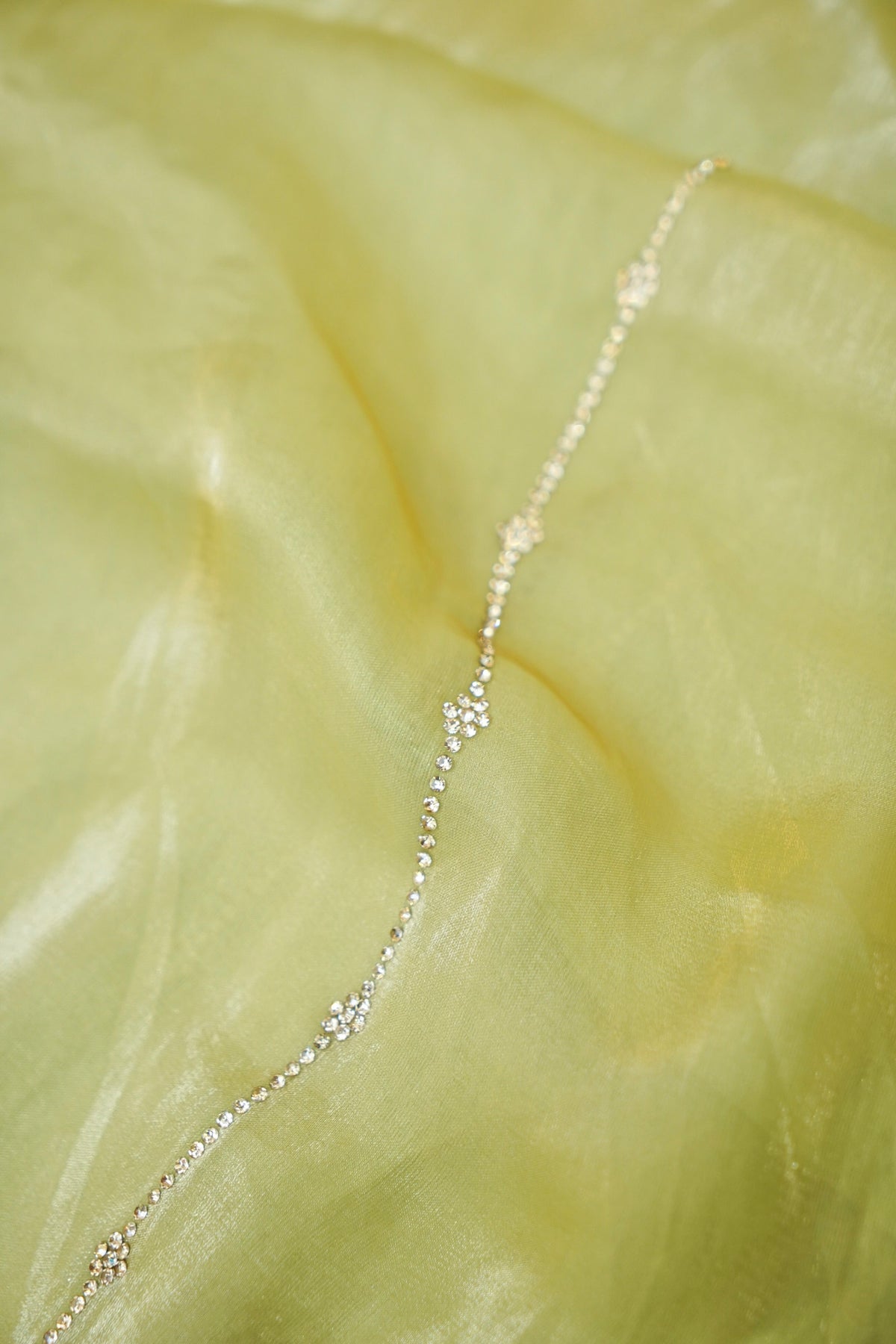 Vine Rhinestone Border Designer Tissue Saree – Pistachio Green
