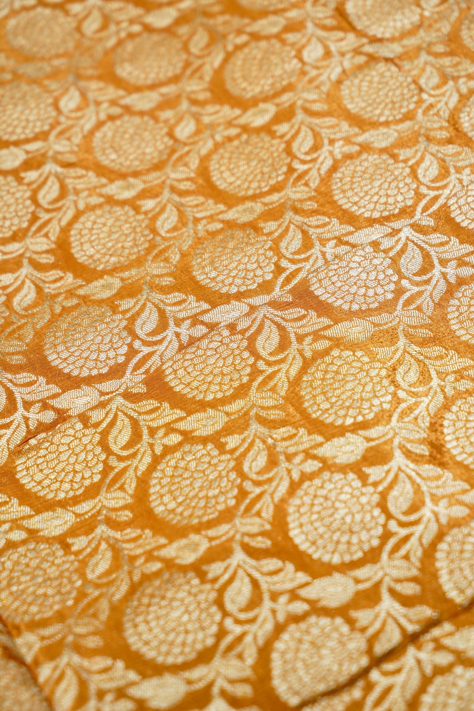 Rich Burnt Orange Chinon Silk Saree with Champagne Gold Border
