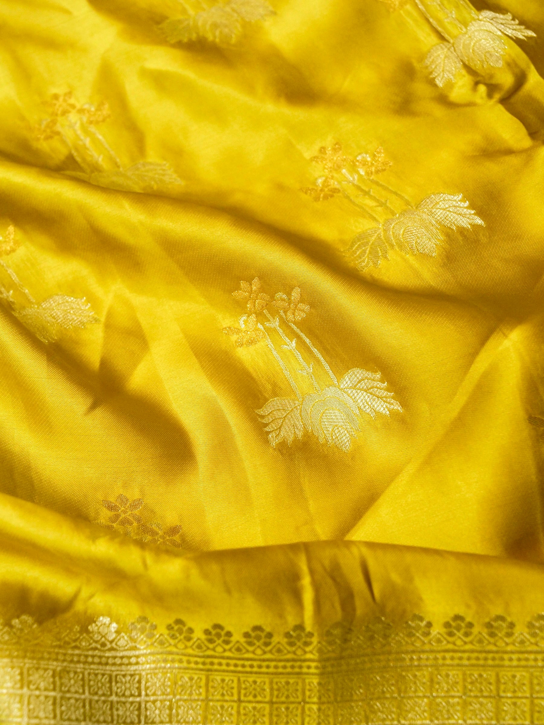 Mustard Gold Mashru Silk Saree with Champagne Border