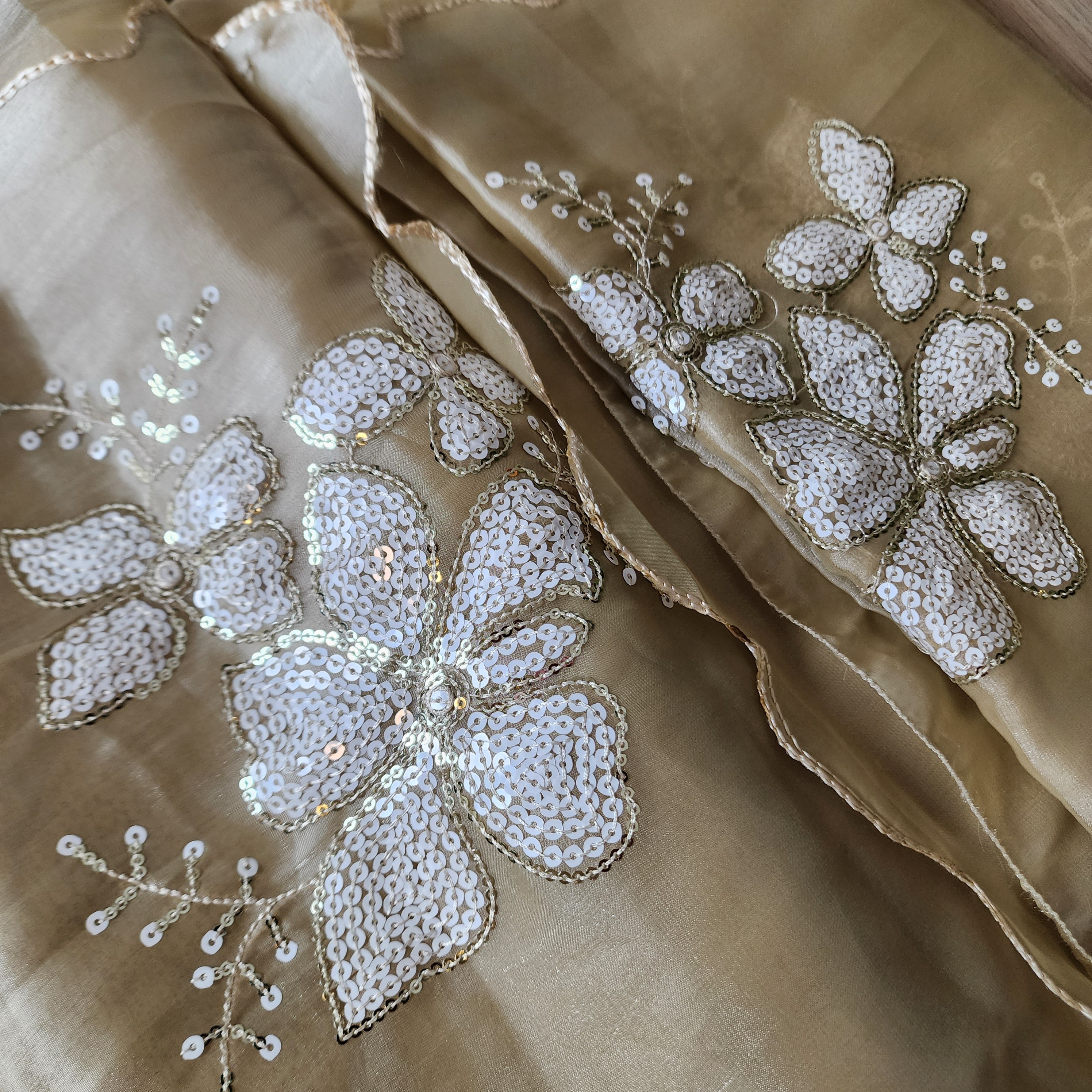 Beige Designer Organza Saree