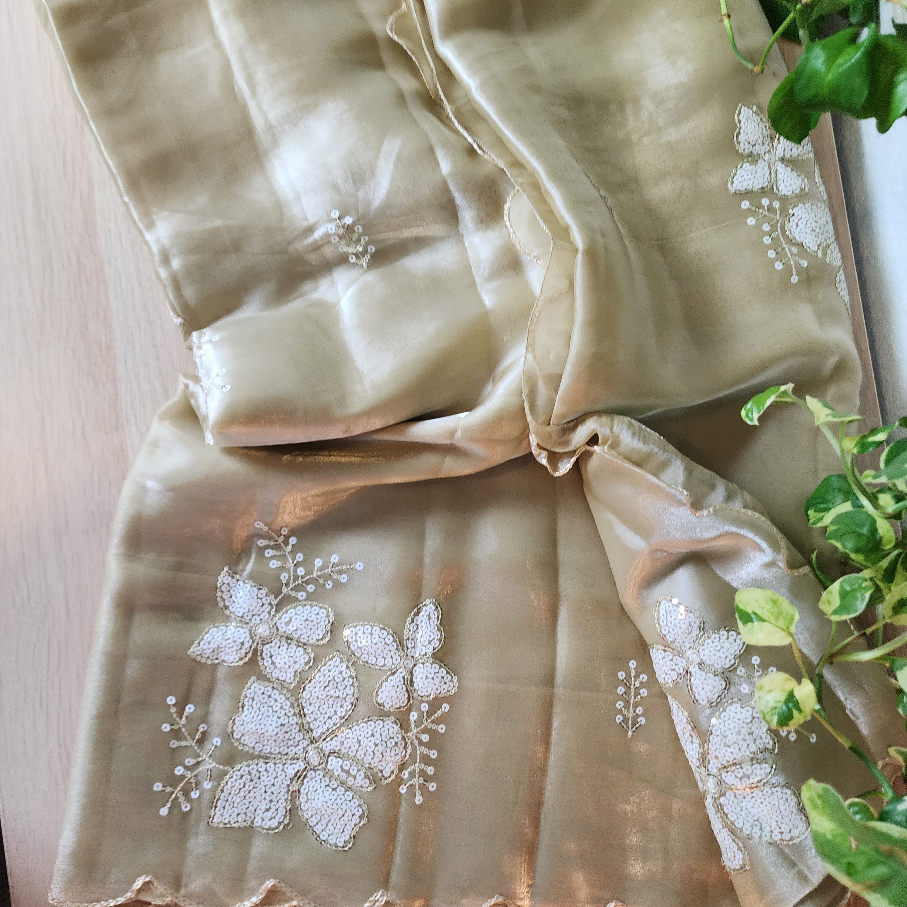 Beige Designer Organza Saree