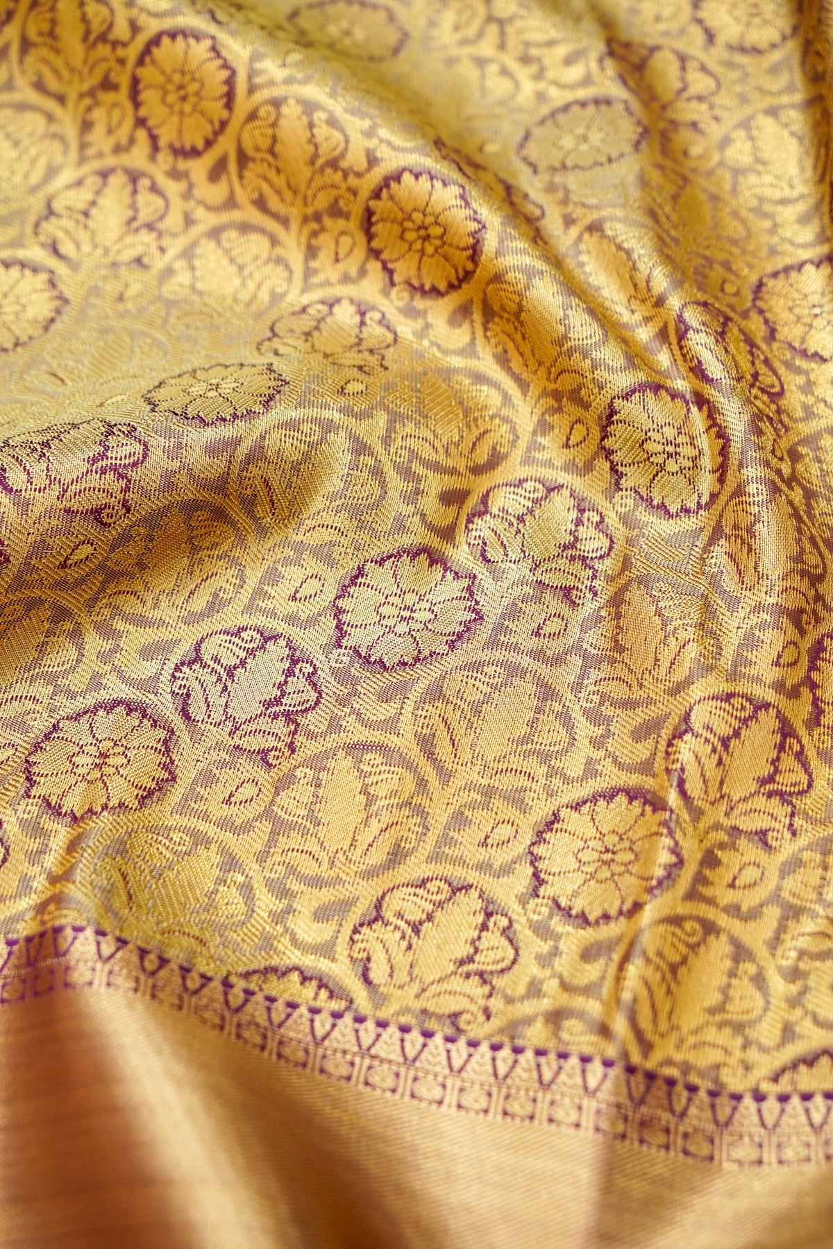 Devyani - Champagne Kanchi Pattu Silk Saree with Purple Border