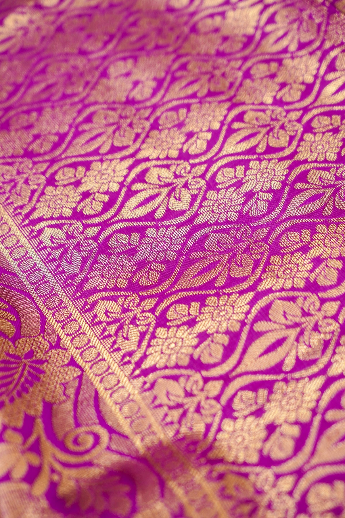 Devyani - Champagne Kanchi Pattu Silk Saree with Purple Border