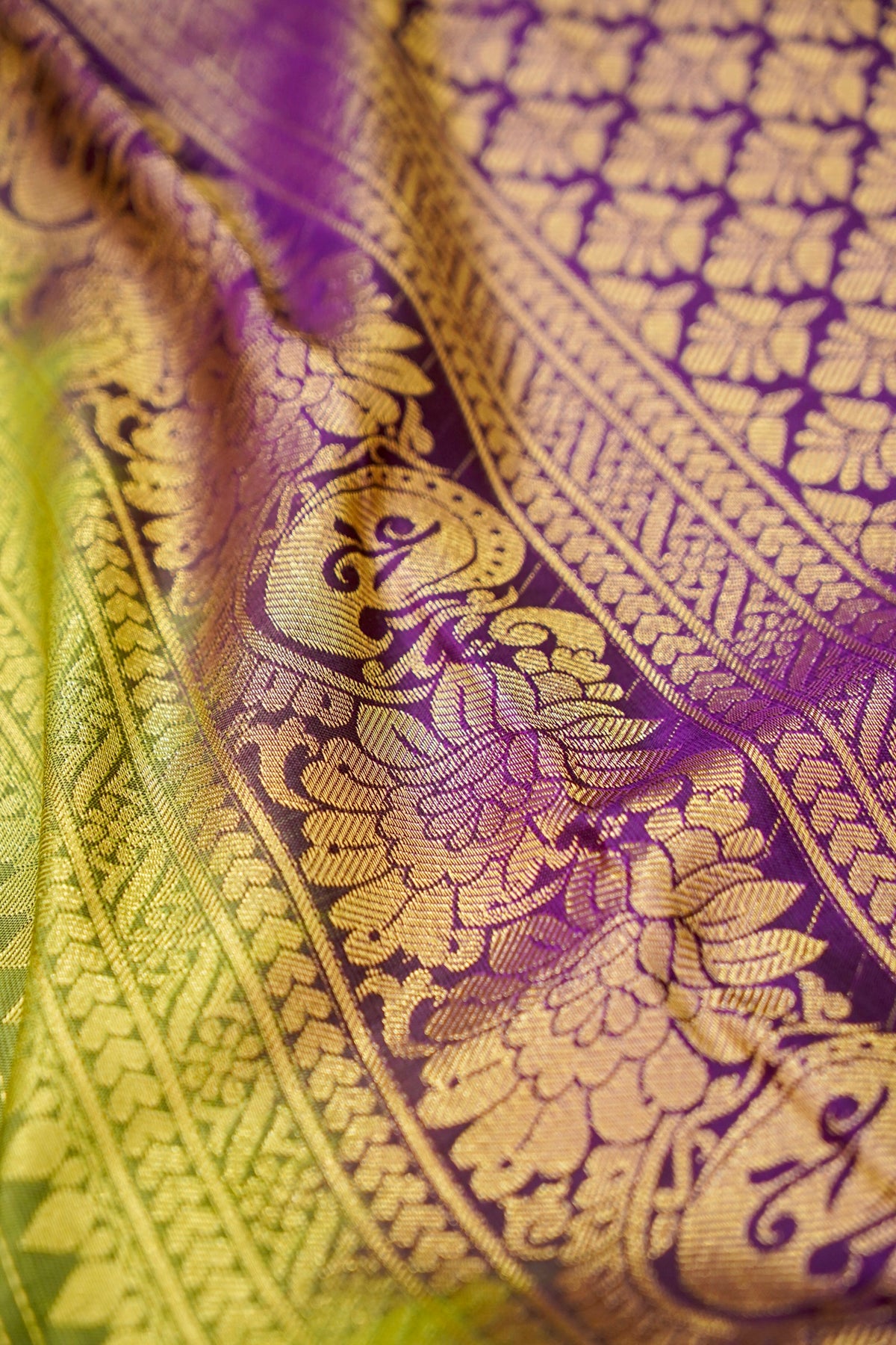 Devyani - Olive Green Kanjivaram Silk Saree with Purple Korvai Border