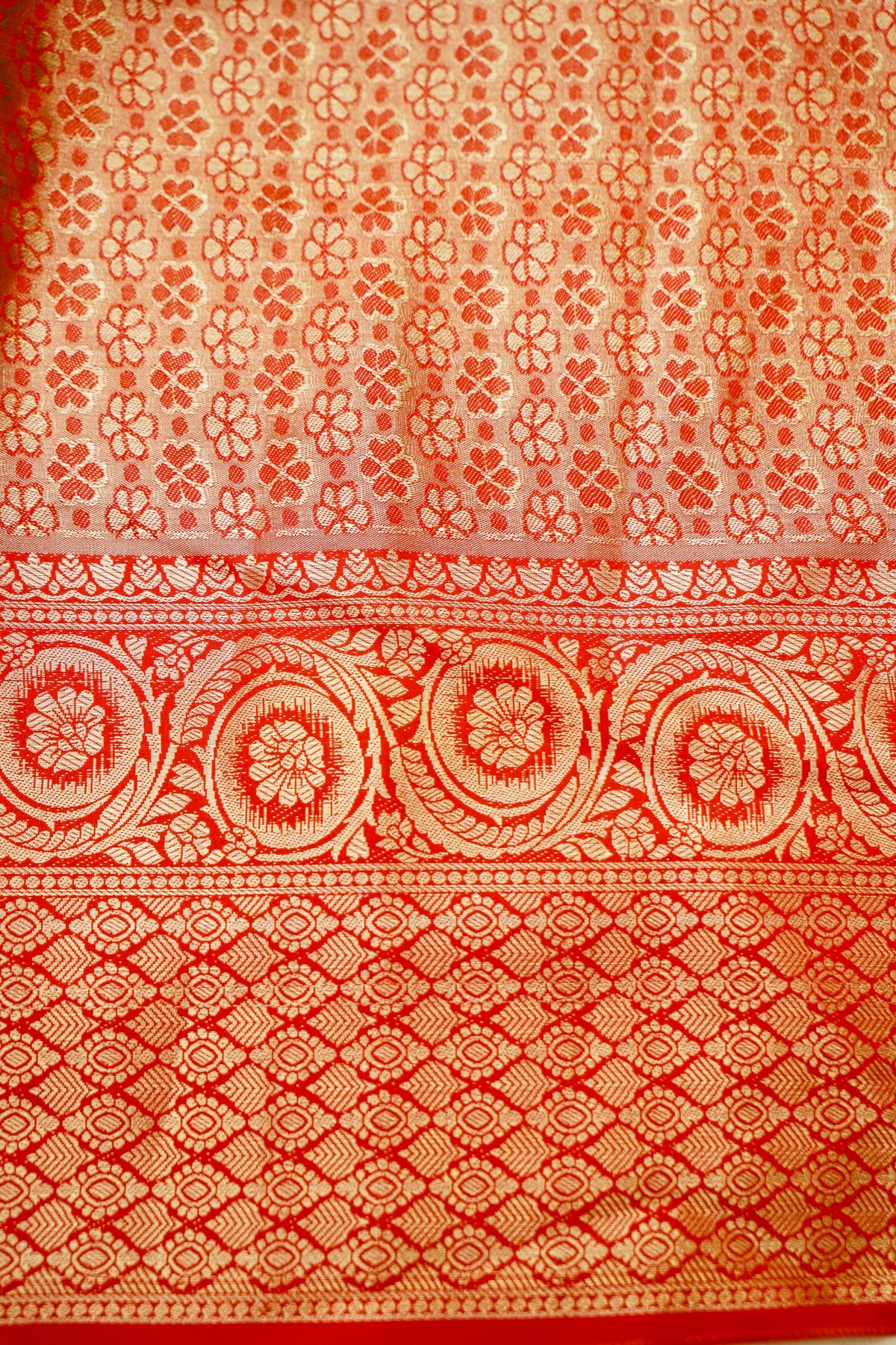 Sharvi - Coral Red and Powder Blue Dharmavaram Silk Saree