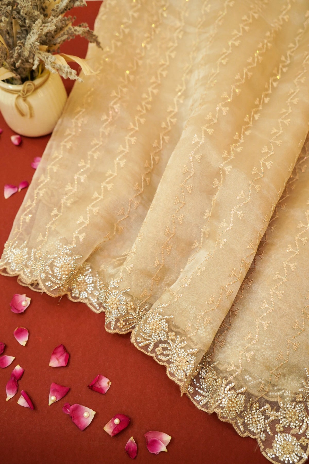 Champagne Designer Tissue Saree with Diamond Embroidered Border