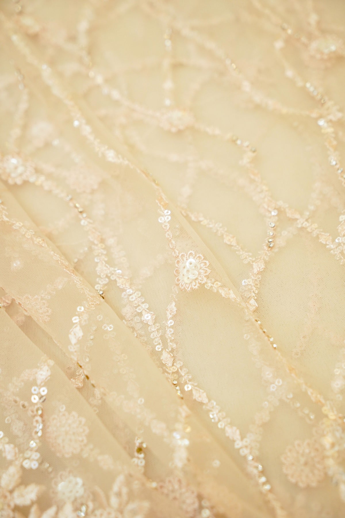 Sequin Embroidery Designer Net Saree - Champagne Beige