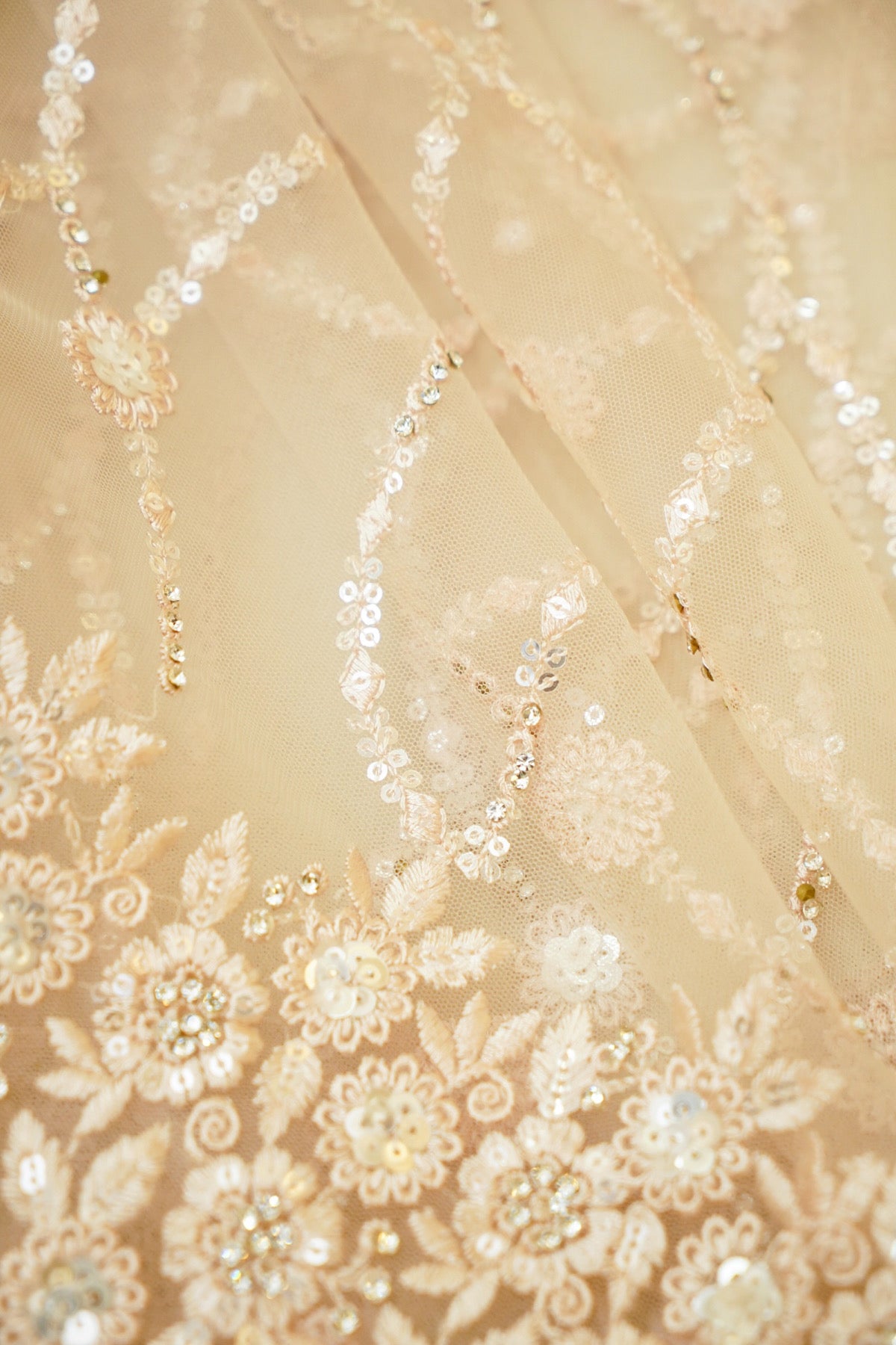 Sequin Embroidery Designer Net Saree - Champagne Beige