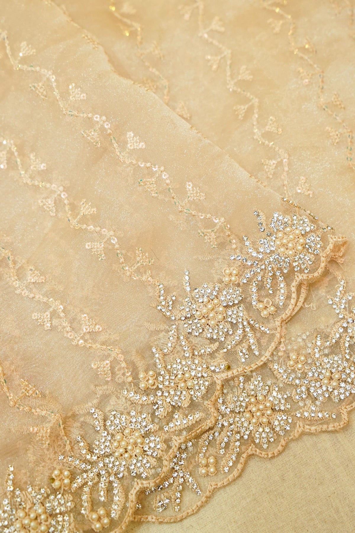 Champagne Designer Tissue Saree with Diamond Embroidered Border
