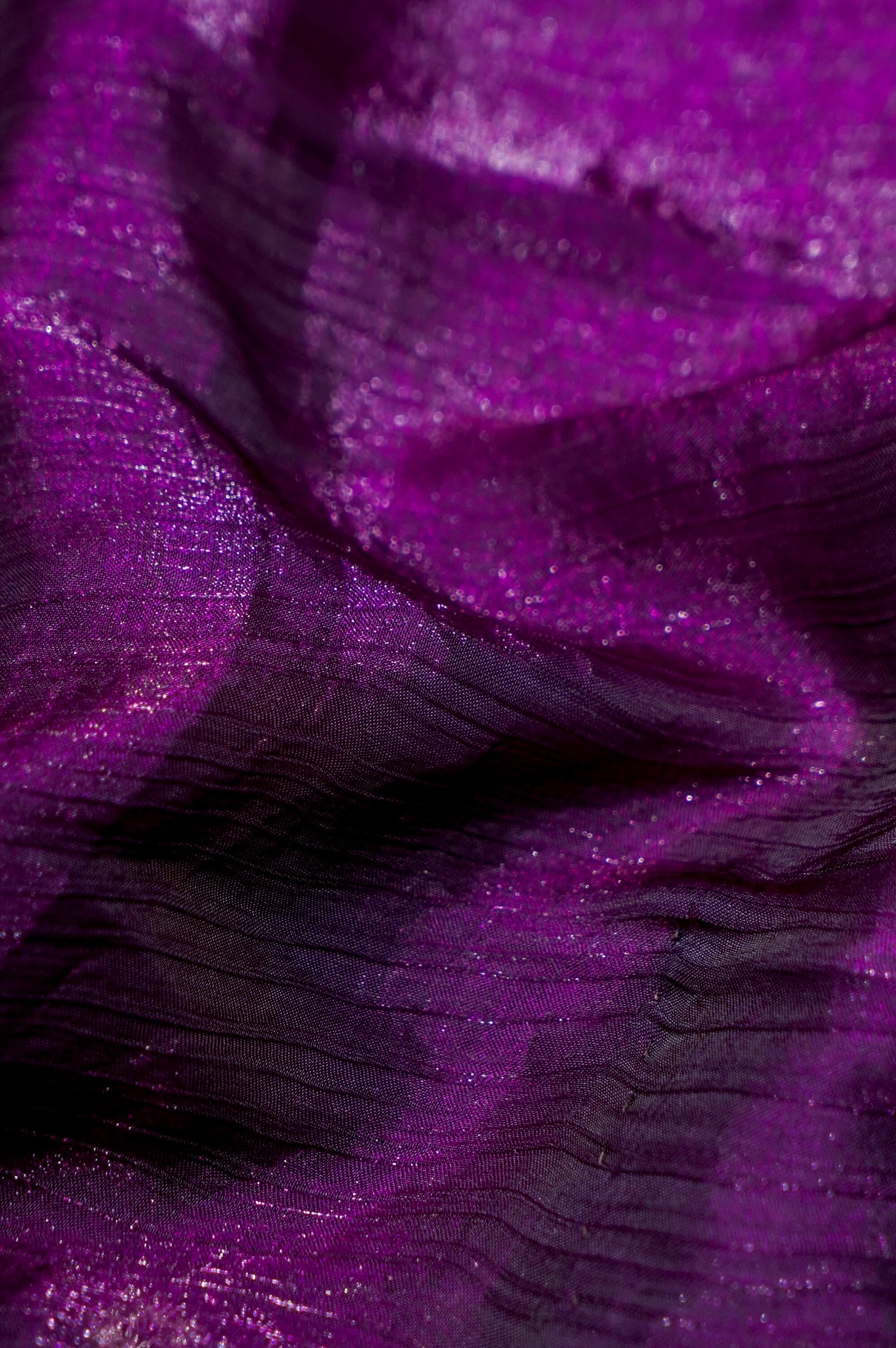 Purple Designer Chiffon Tissue Silk Saree with Contrast Green Blouse