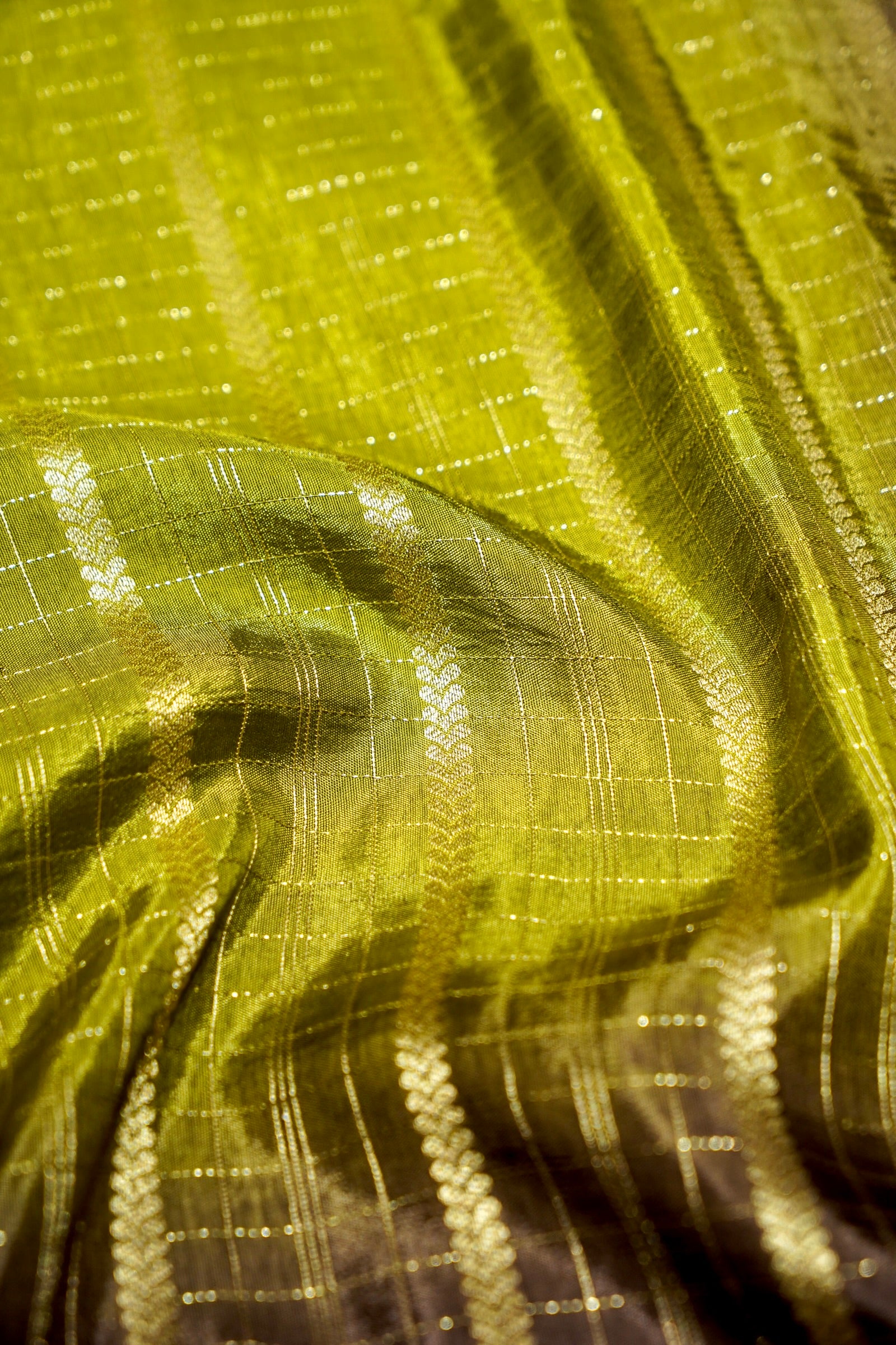 Parrot Green Dola Silk Saree with Dark Brown and Gold Zari Border