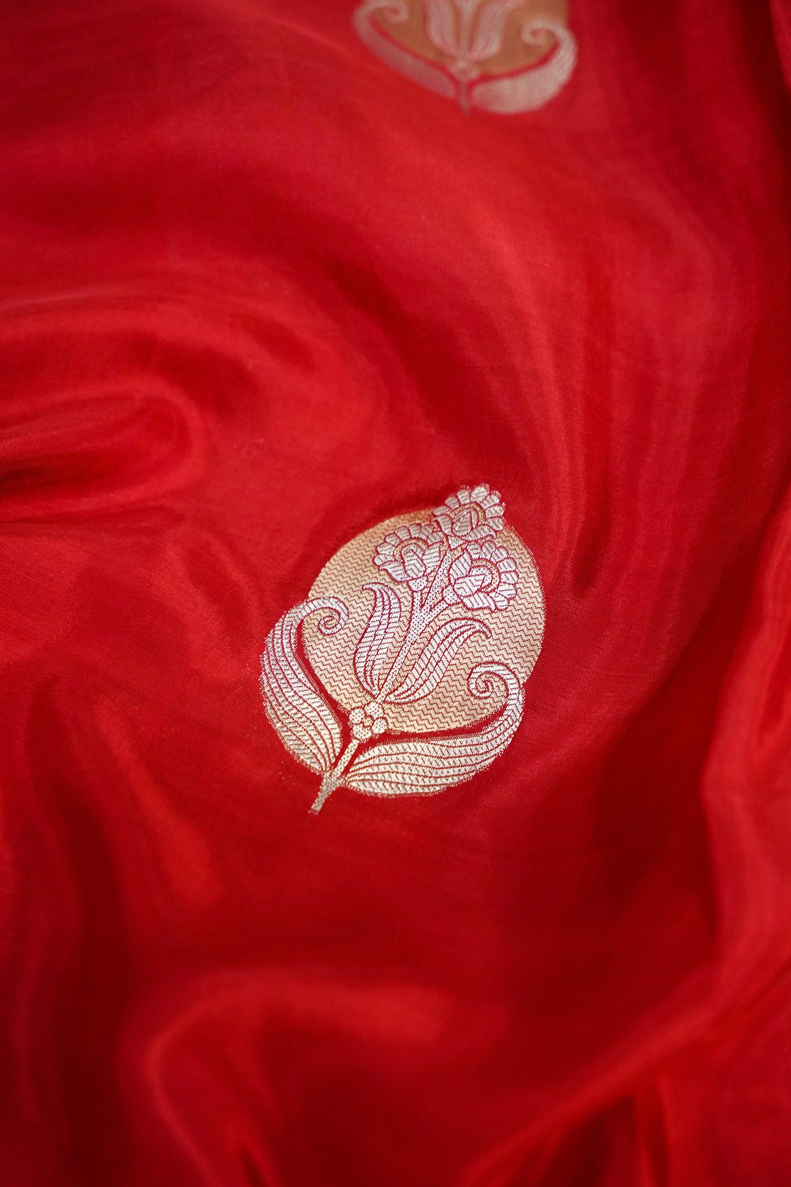 Cherry Red Muslin Silk Saree with Blush Pink Border
