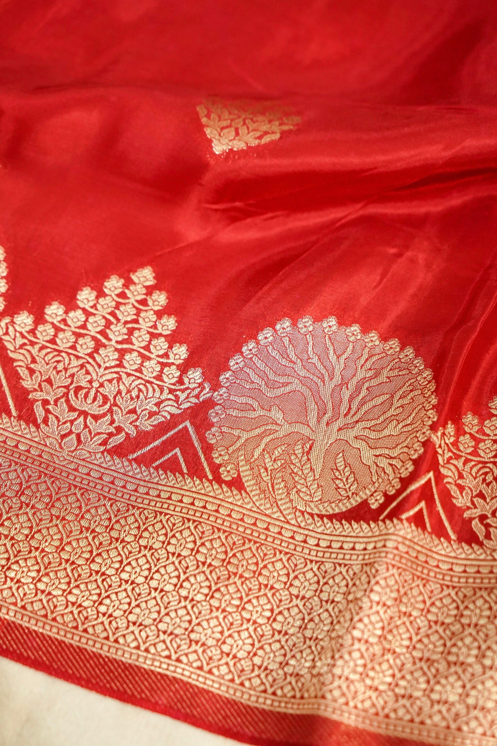 Classic Vermilion Red Muslin Silk Saree with Gold Zari Border