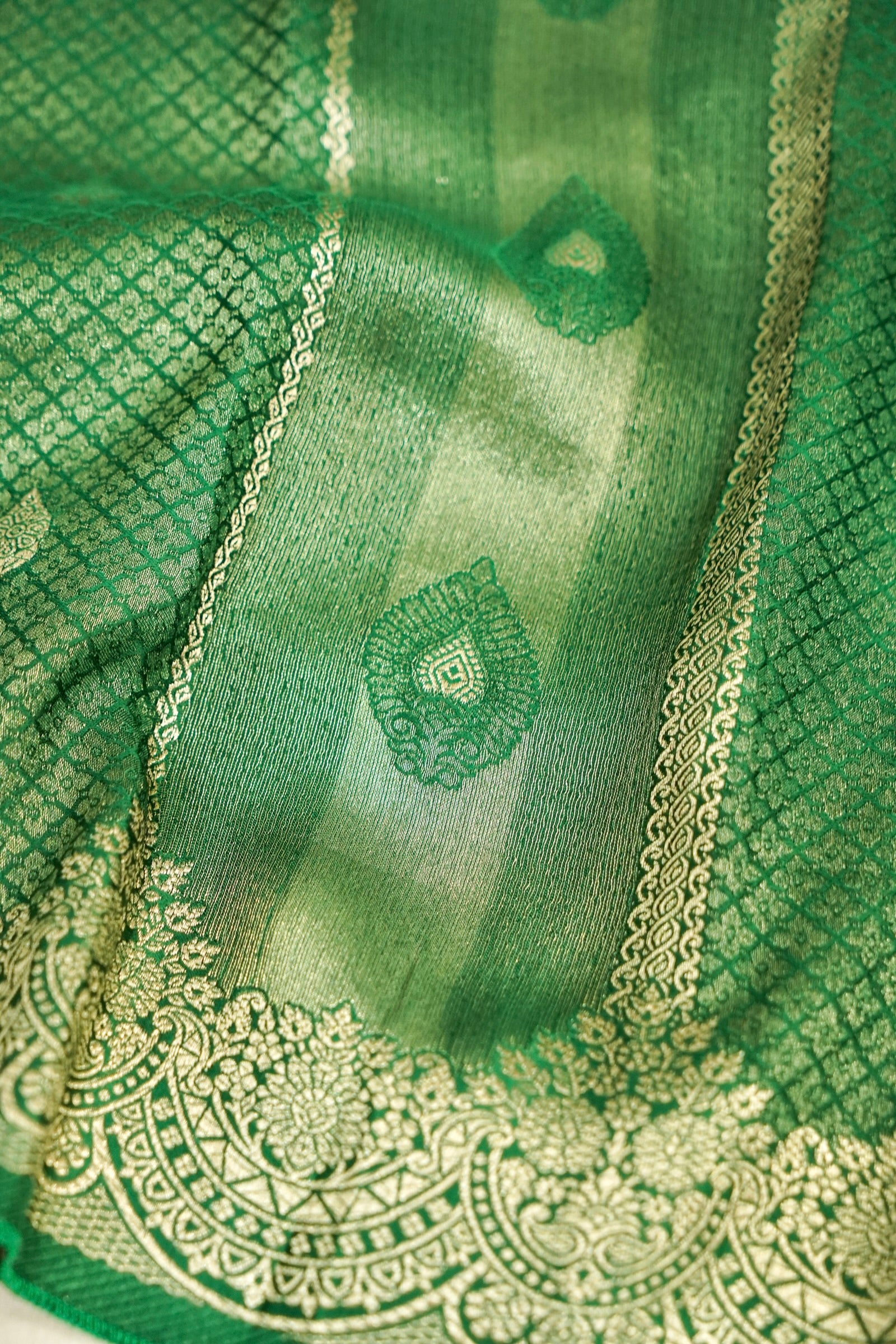 Mehendi Green Tissue Katan Silk Saree with Champagne Gold Border