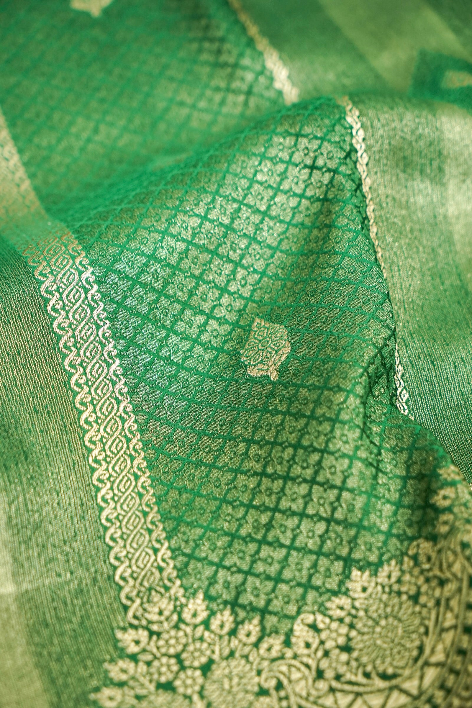 Mehendi Green Tissue Katan Silk Saree with Champagne Gold Border