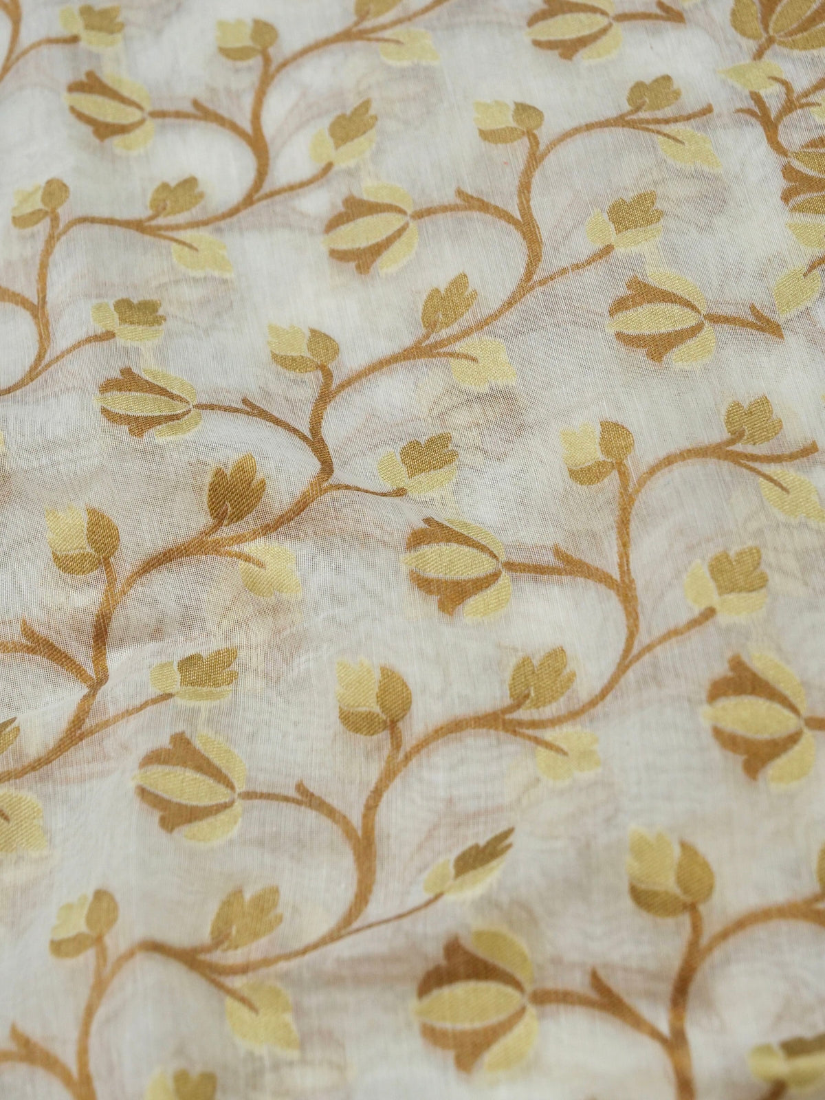 Ivory Jamdhani Style Saree with Mustard Gold Woven Motifs
