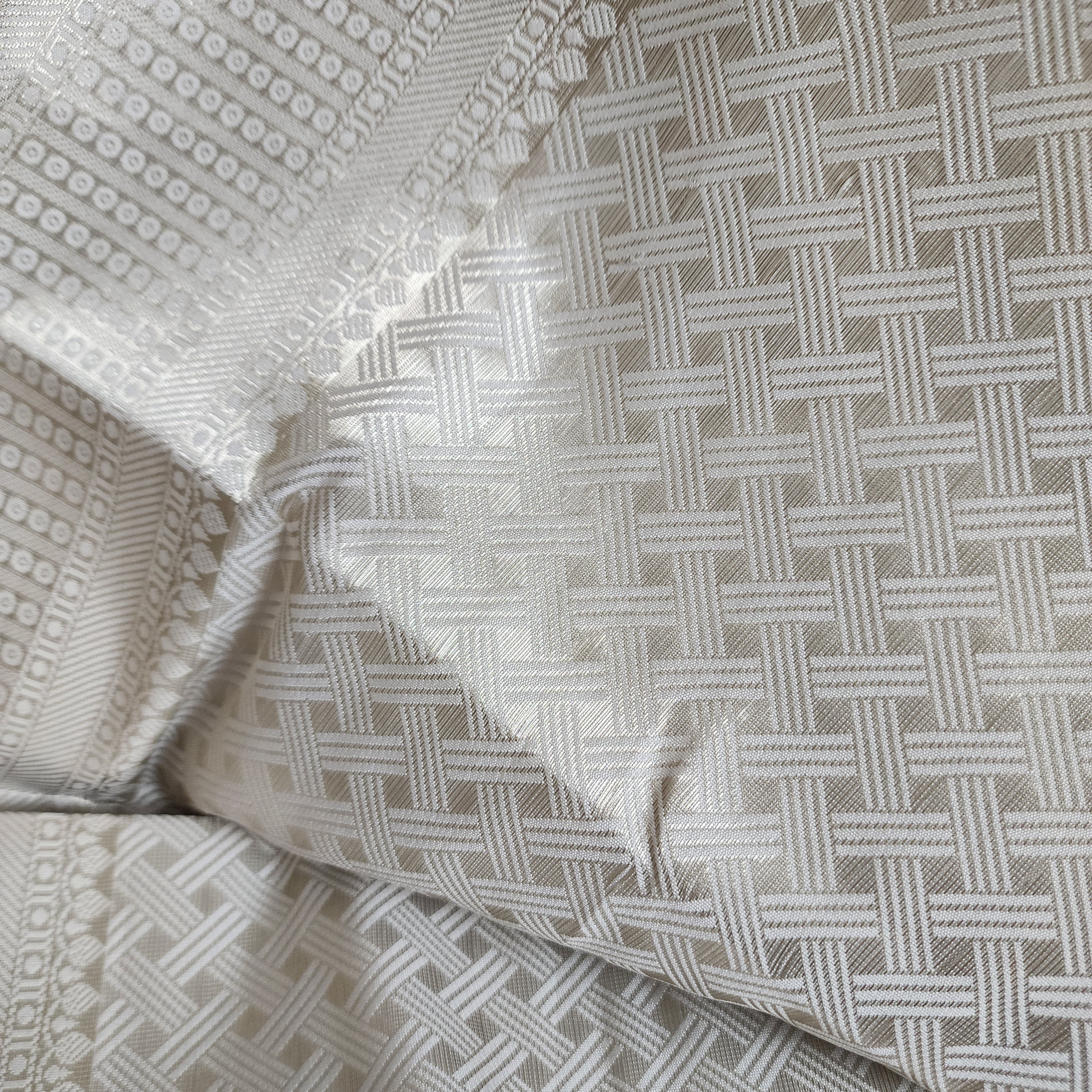 Elegant Glass Tissue Silk Saree in Brocade style weaving