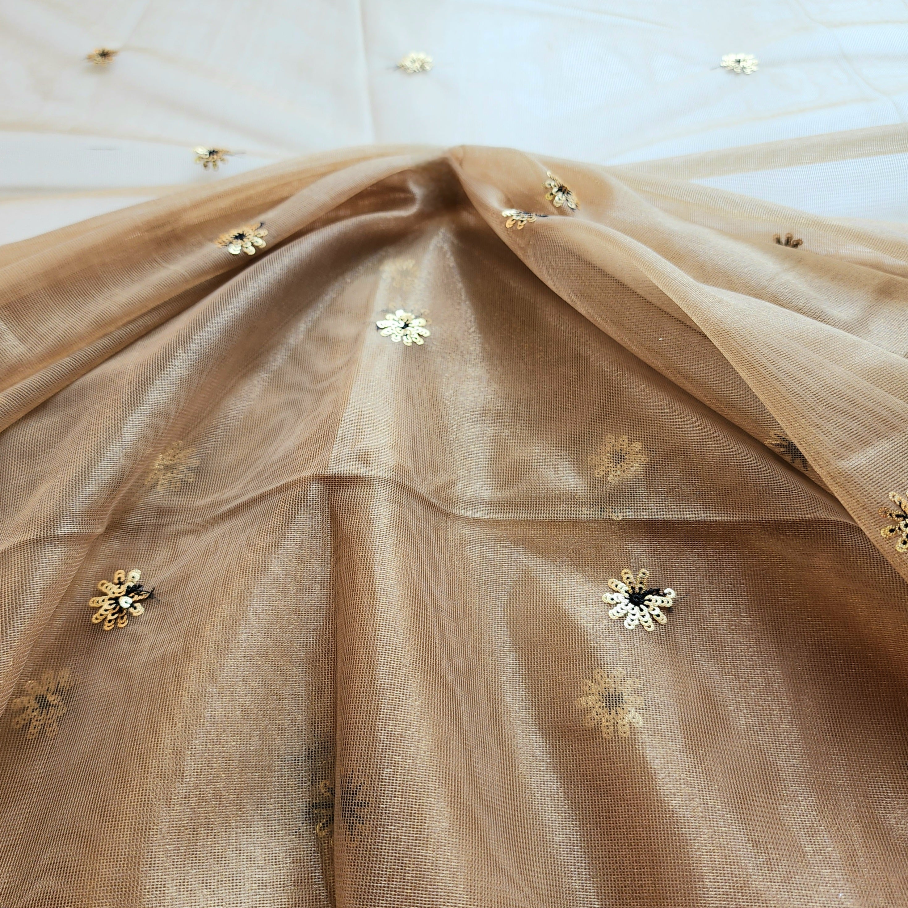 Beige Designer Net Saree with Heavy Embroidery Cut Work Border