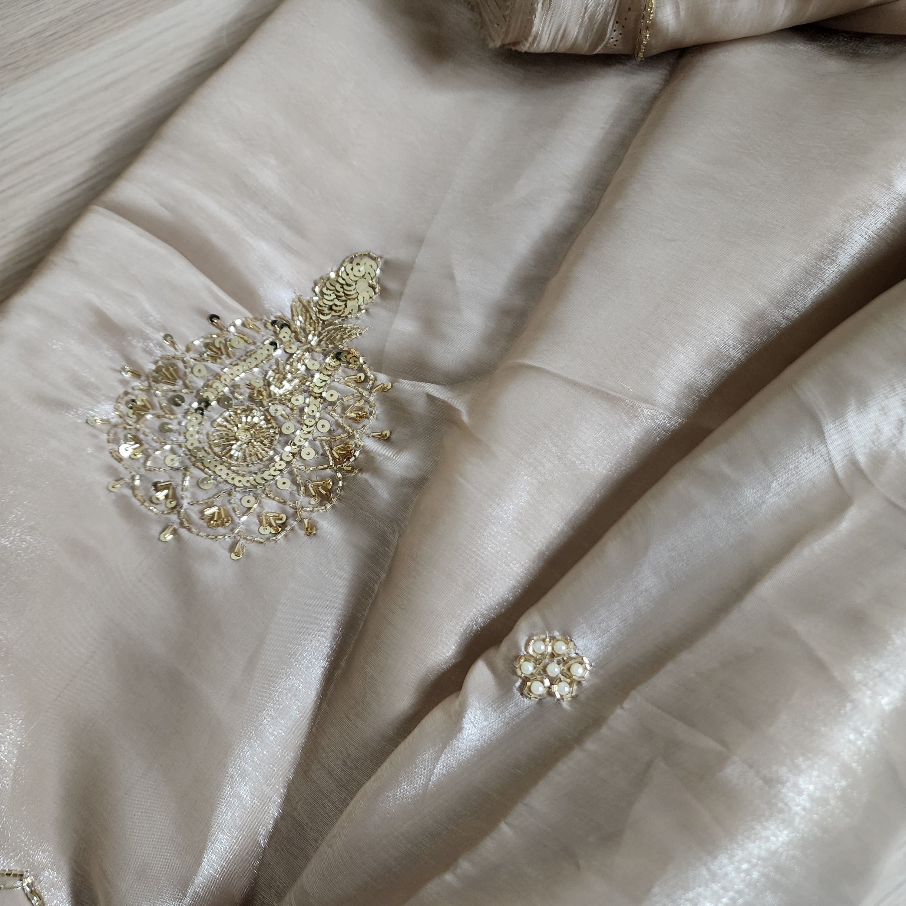 Glossy Metallic Tissue Silk Saree with Hand Embroidery