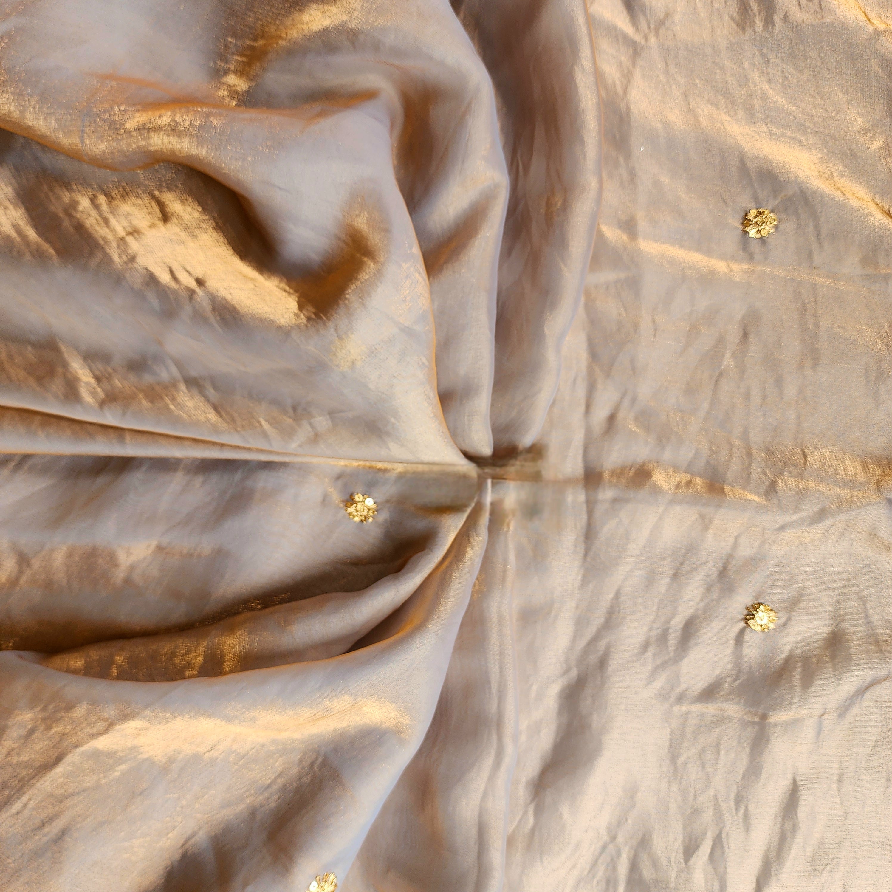 Smoky Taupe Gold Designer Tissue Silk Saree
