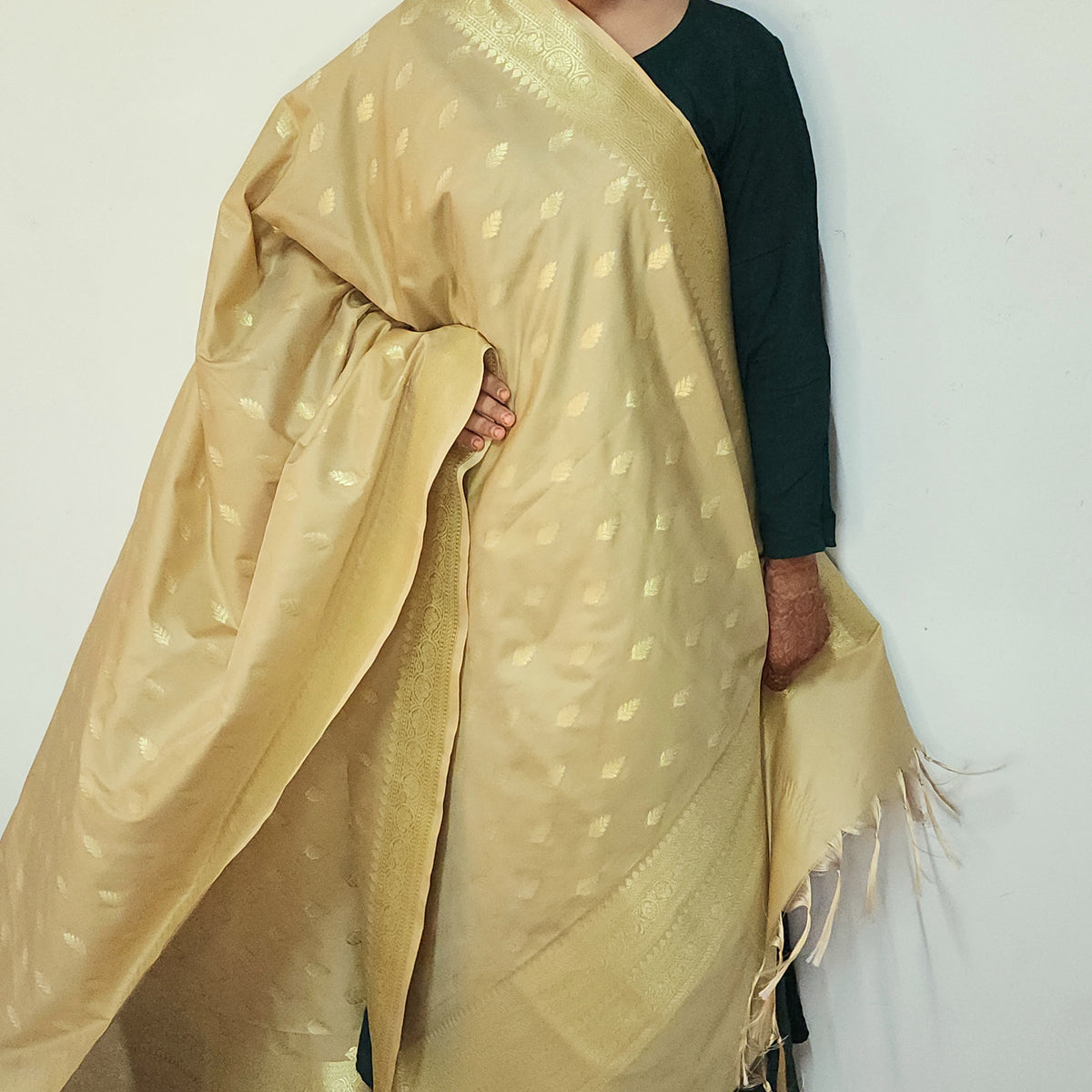 Champagne Banarasi Tapetta Silk Leaf Weave Dupatta