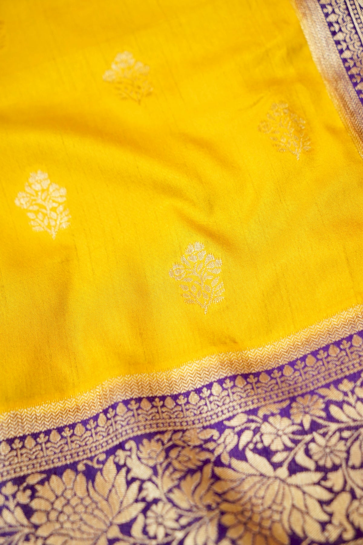 Mustard Yellow Dupion Patola with Purple Border & Heavy Gold Zari