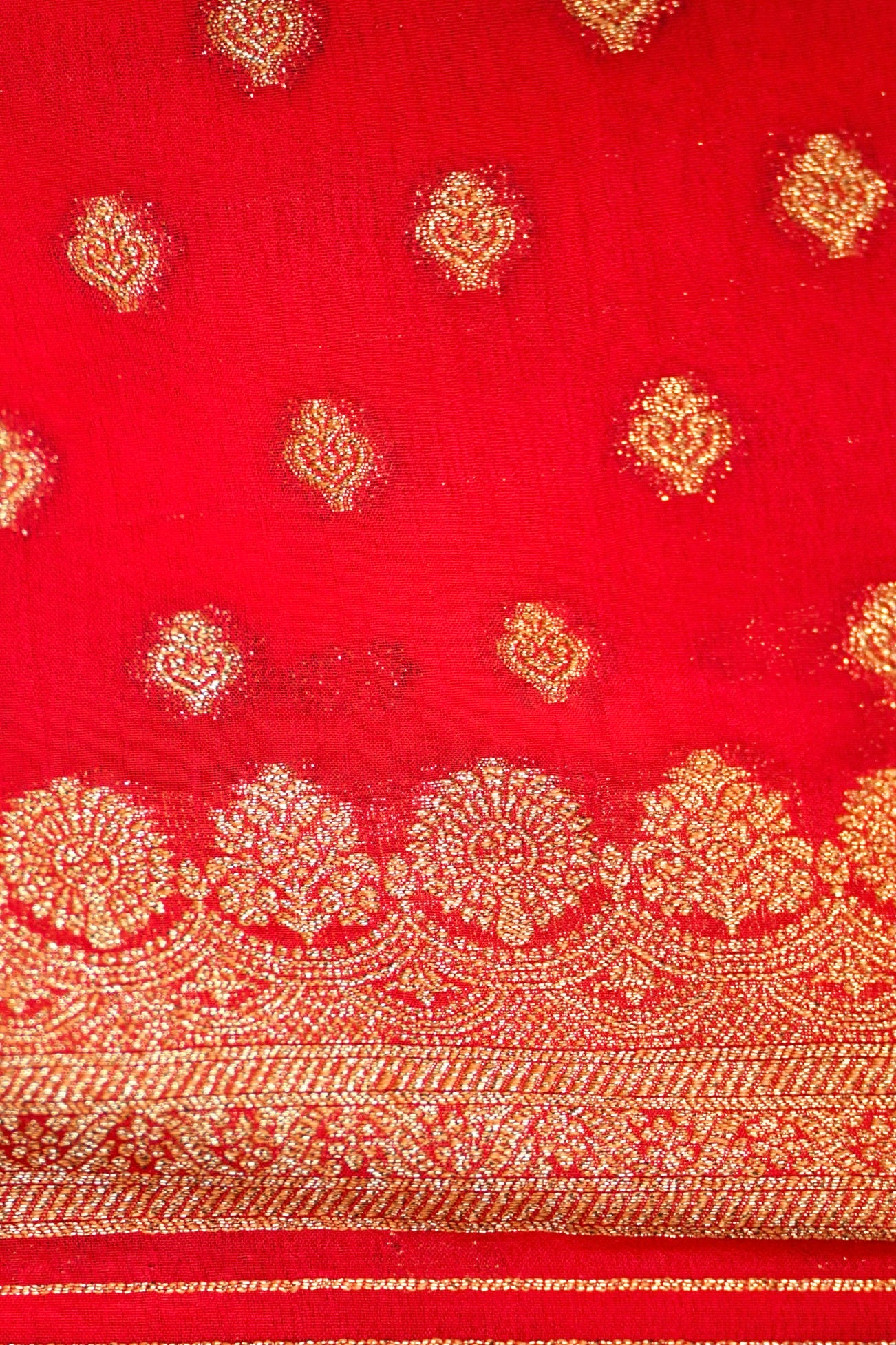Bright Red Crepe Chiffon Saree with Gold Zari Border