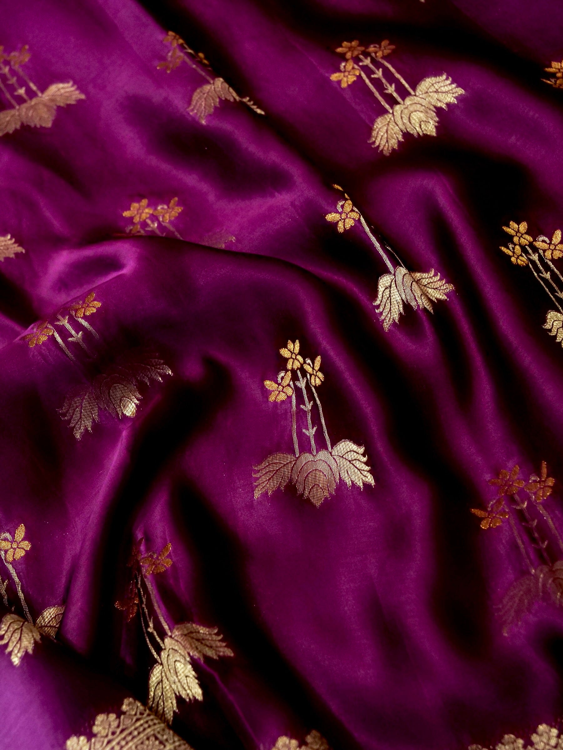 Twilight Ombré Mashru Silk Saree with Champagne Border