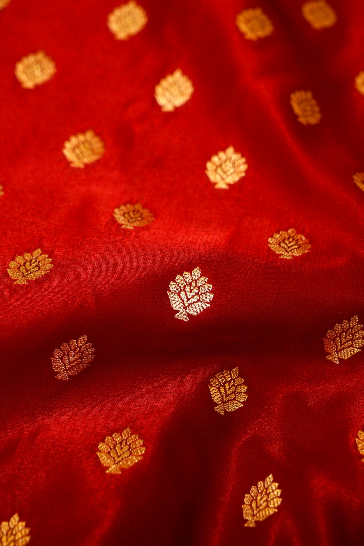 Royal Maroon Red Banarasi Silk Saree with Golden Zari Weave