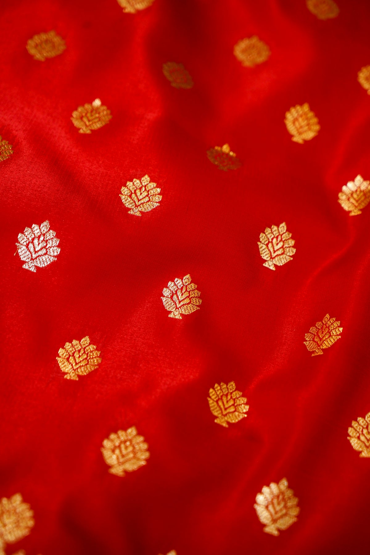 Royal Magenta-Red Banarasi Silk Saree with Golden Zari Weave