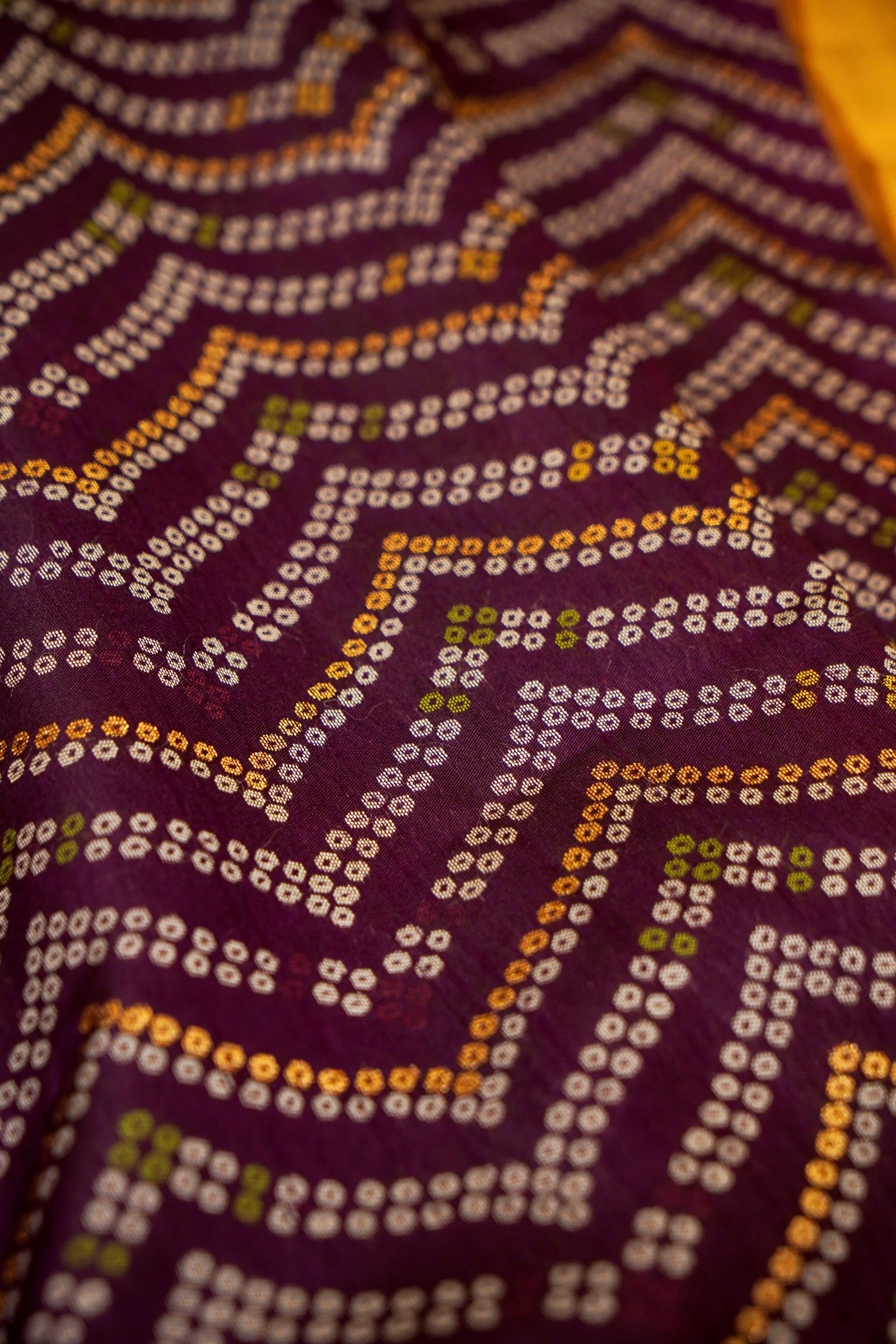 Deep Plum Ikkat Patola Silk Saree with Mustard Border and Stitched Blouse